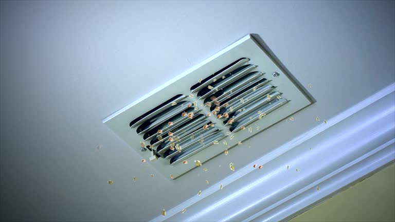 Best Commercial HVAC Duct Cleaning  in New Sarpy, LA